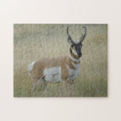A8 Pronghorn Antelope Big Buck Legpuzzel (Horizontaal)