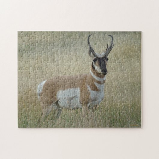 A8 Pronghorn Antelope Big Buck Legpuzzel (Horizontaal)