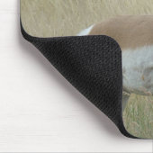 A8 Pronghorn Antelope Big Buck Muismat (Hoek)