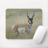 A8 Pronghorn Antelope Big Buck Muismat (Met muis)