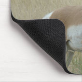 A8 Pronghorn Antelope Big Buck Muismat (Hoek)