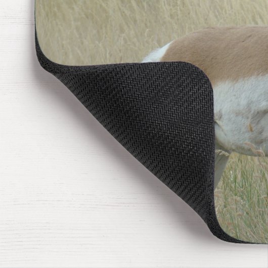 A8 Pronghorn Antelope Big Buck Muismat (Hoek)