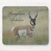 A8 Pronghorn Antelope Big Buck Muismat (Voorkant)