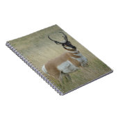 A8 Pronghorn Antelope Big Buck Notitieboek (Rechterzijde)