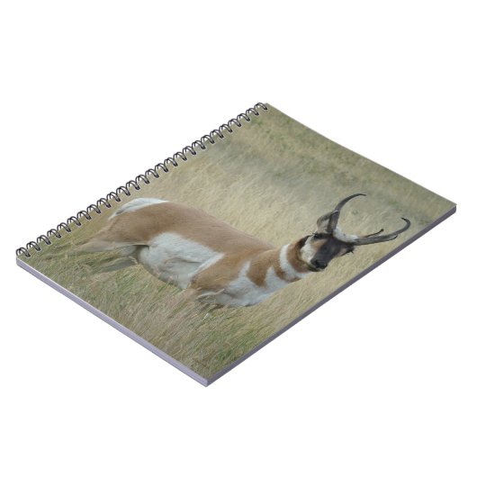 A8 Pronghorn Antelope Big Buck Notitieboek (Linkerzijde)