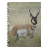 A8 Pronghorn Antelope Big Buck Notitieboek (Voorkant)