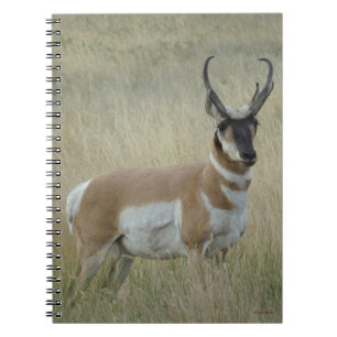A8 Pronghorn Antelope Big Buck Notitieboek