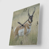 A8 Pronghorn Antelope Big Buck Vierkante Klok (Hoek)