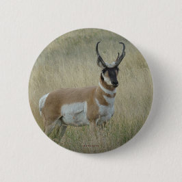 A8 Pronghorn Antelope Ronde Button 5,7 Cm