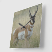 A8 Pronghorn Antelope Vierkante Klok (Hoek)