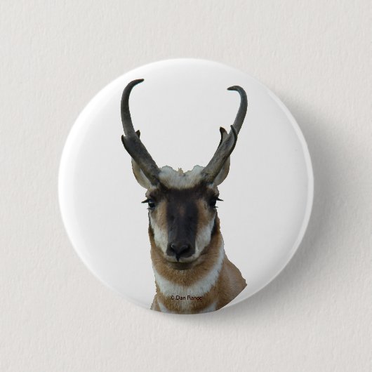 A9 Gaffelbok Kop Ronde Button 5,7 Cm (Voorkant)