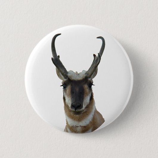 A9 Pronghorn Antelope Head Ronde Button 5,7 Cm (Voorkant)