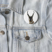A9 Pronghorn Antelope Head Ronde Button 5,7 Cm (In situ)