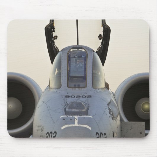 A-10 MUISMAT (Voorkant)