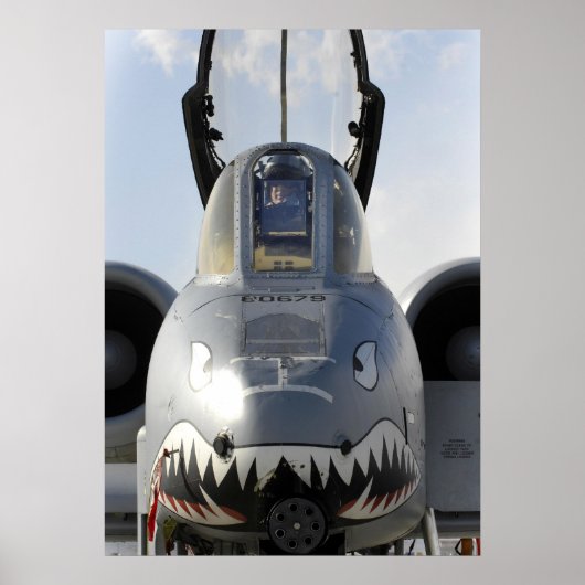 A-10 Thunderbolt II-Vliegtuig Poster (Voorkant)