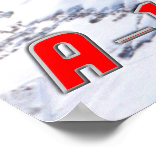 A-10C THUNDERBOLT II POSTER (Hoek)