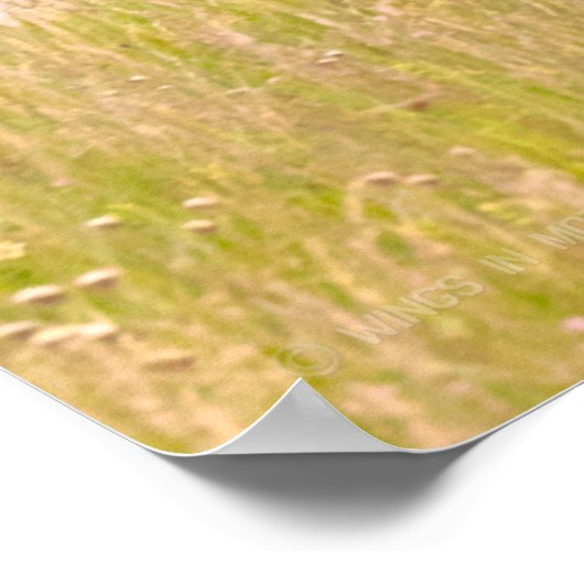 A-10C THUNDERBOLT II POSTER (Hoek)