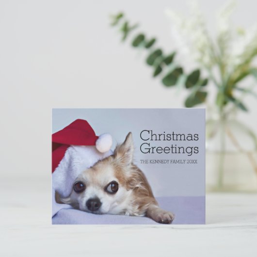 A 6 year old long hair chihuahua feestdagenkaart (Staand voorkant)