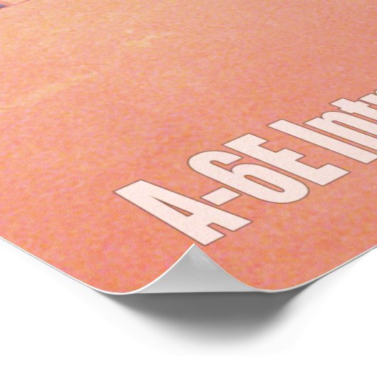 A-6E INTRUDER POSTER (Hoek)