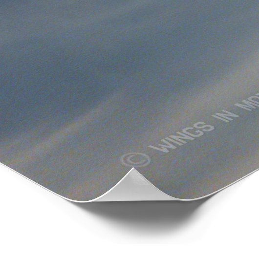 A-7E CORSAIR II POSTER (Hoek)