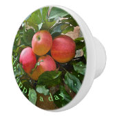 "A APPET A DAY"/CLUSTER VAN APPLES KERAMISCHE KNOP (Rechts)