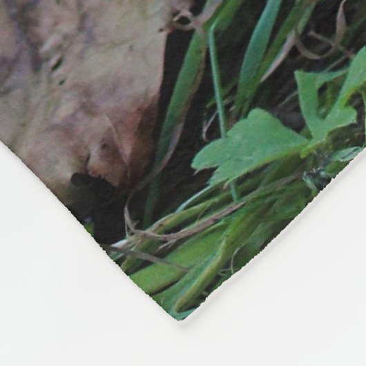 A Baby Silkie Fleece Deken (Hoek)