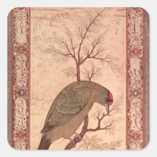 A Barbet Jahangir Period, Mughal, 1615 Vierkante Sticker (Voorkant)