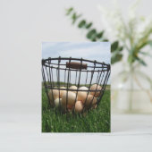 A Basket of Farm Fresh Eggs in the Grass Briefkaart (Staand voorkant)