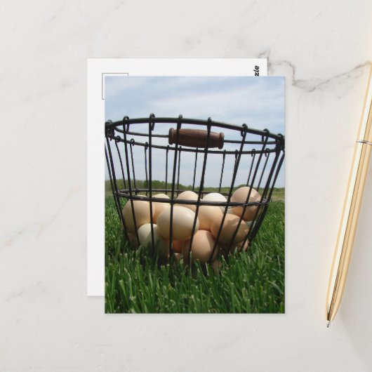 A Basket of Farm Fresh Eggs in the Grass Briefkaart (Voorkant / Achterkant in situ)