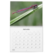 A+ Beauful Dragonflies Wall Agenda Kalender (Jan 2026)