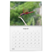 A+ Beauful Dragonflies Wall Agenda Kalender (Mar 2026)