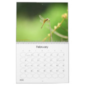 A+ Beauful Dragonflies Wall Agenda Kalender (Feb 2026)