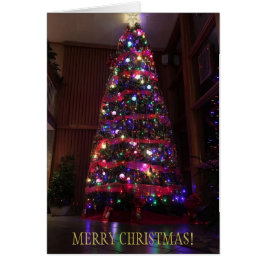 A Beautiful Christmas Tree with Reflection