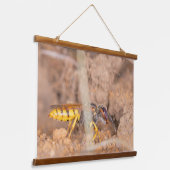 A beautiful close-up photograph of a wasp hangend wandkleed (Gebogen)