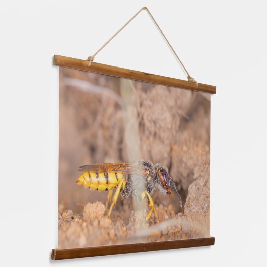 A beautiful close-up photograph of a wasp hangend wandkleed (Gebogen)