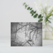 A beautiful Dove Black and White Briefkaart (Staand voorkant)