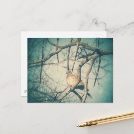 A beautiful Dove Briefkaart (Voorkant / Achterkant in situ)