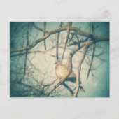 A beautiful Dove Briefkaart (Voorkant)