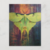 A Beautiful Luna Moth Briefkaart (Voorkant)