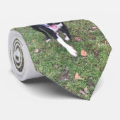 A beautiful Staffordshire Bull Terrier Tie Stropdas (Opgerold)