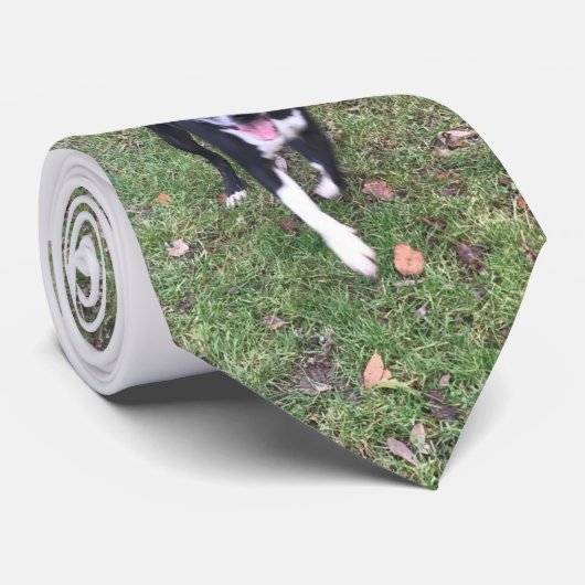 A beautiful Staffordshire Bull Terrier Tie Stropdas (Opgerold)