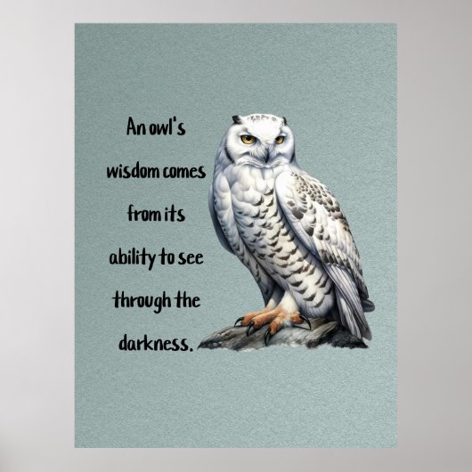 A beautiful white wise Owl Poster (Voorkant)