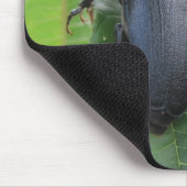 A Beetle's Reis Muismat (Hoek)