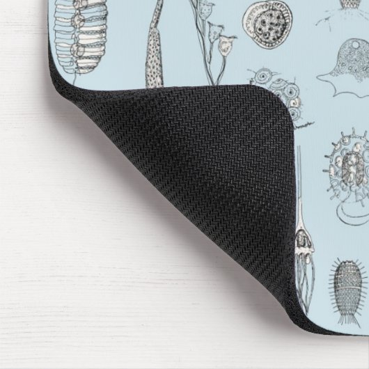 A Bestiary of Protozoa Muismat (Hoek)