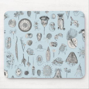 A Bestiary of Protozoa Muismat