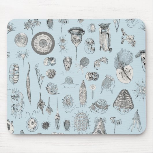 A Bestiary of Protozoa Muismat (Voorkant)