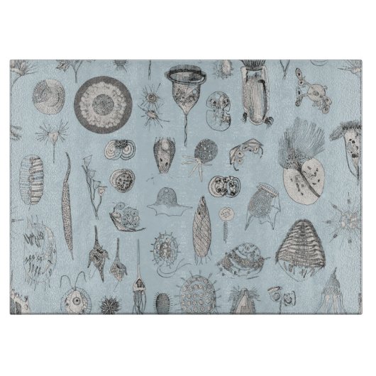 A Bestiary of Protozoa Snijplank (Voorkant)