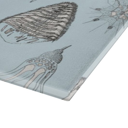 A Bestiary of Protozoa Snijplank (Hoek)