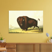 A Bison, c.1832 Canvas Afdruk (Insitu (Woonkamer))