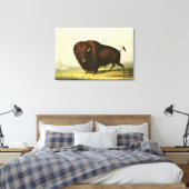 A Bison, c.1832 Canvas Afdruk (Insitu (Slaapkamer))
